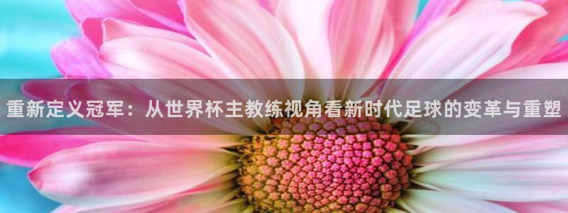 世界杯亚洲区预选赛:重新定义冠军:从世界杯主教练视角看新时代足球的变革与重塑