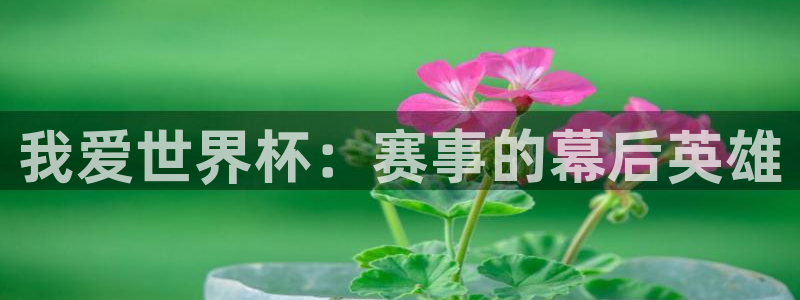 世界杯预选赛排名:我爱世界杯:赛事的幕后英雄