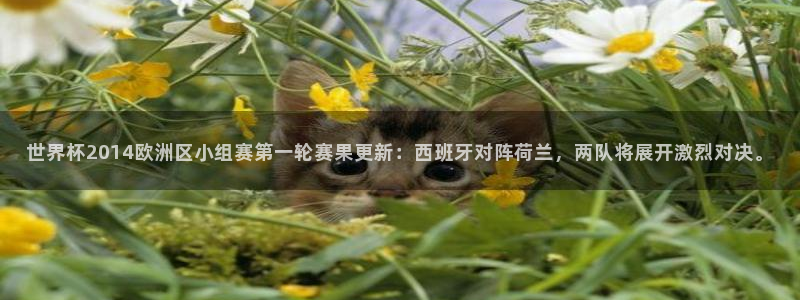 2026世界杯:世界杯2014欧洲区小组赛第一轮赛果更新:西班牙对阵荷兰,两队将展开激烈对决。