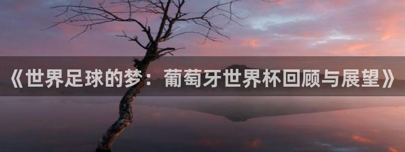 26世界杯:《世界足球的梦:葡萄牙世界杯回顾与展望》