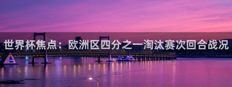 欧洲世界杯预选赛:世界杯焦点:欧洲区四分之一淘汰赛次回合战况