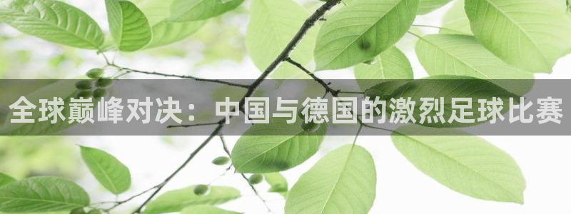 世界杯足球比赛:全球巅峰对决:中国与德国的激烈足球比赛